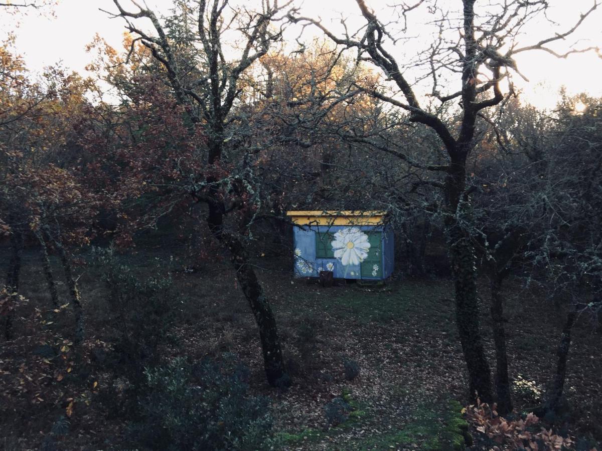 La Maison De Mado Et Sa Cabane Dans Les Arbres Plan d'Aups Exterior photo